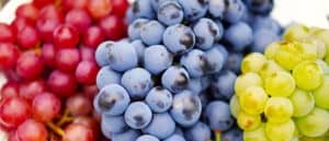 Health benefits of Grapes benefits of grapes