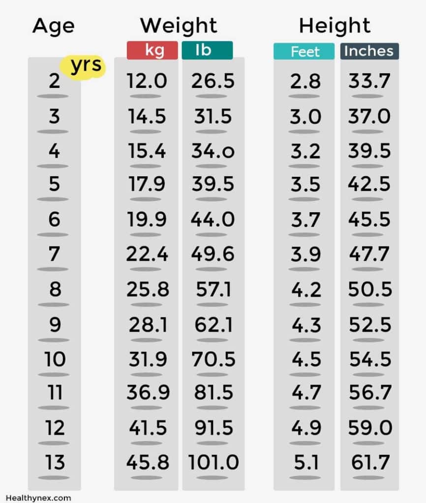 Age Height And Weight Charts For Men Woman 2020