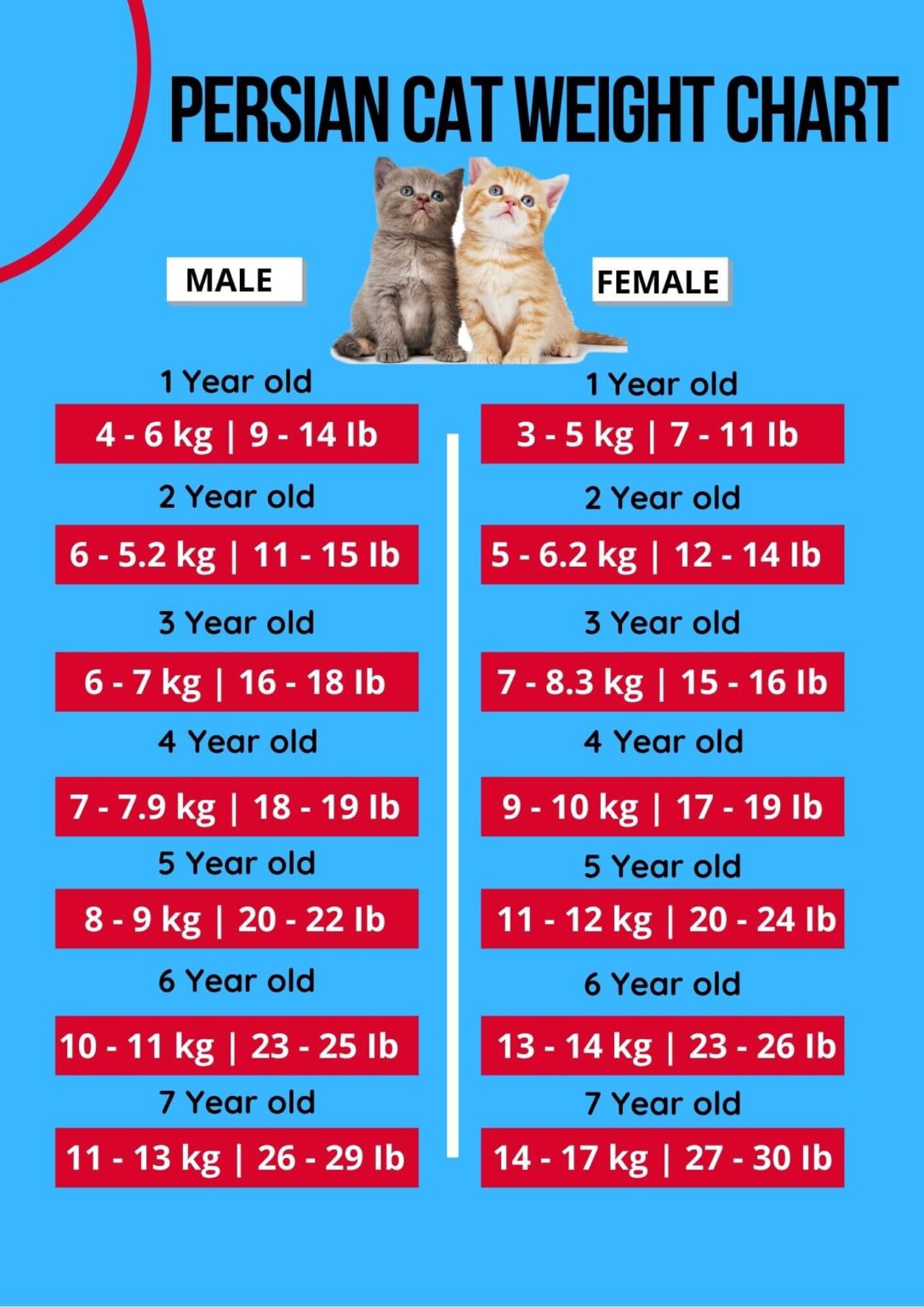 Cat Weight Chart By Age & Height In Kg, Ibs ⚖