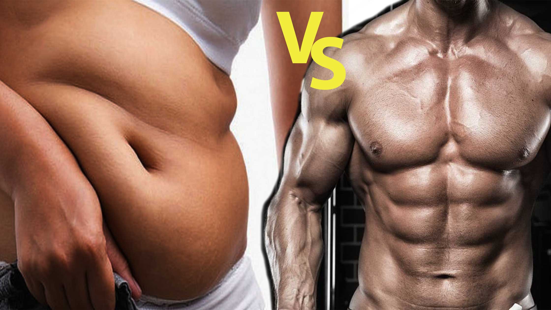 Fat vs Muscle- Comparison